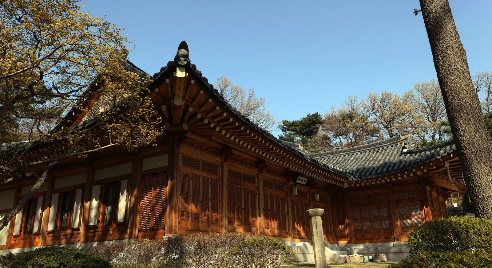 Photo: Republic of Korea from Seoul, Republic of Korea (CC BY-SA 2.0) via Wikimedia Commons
